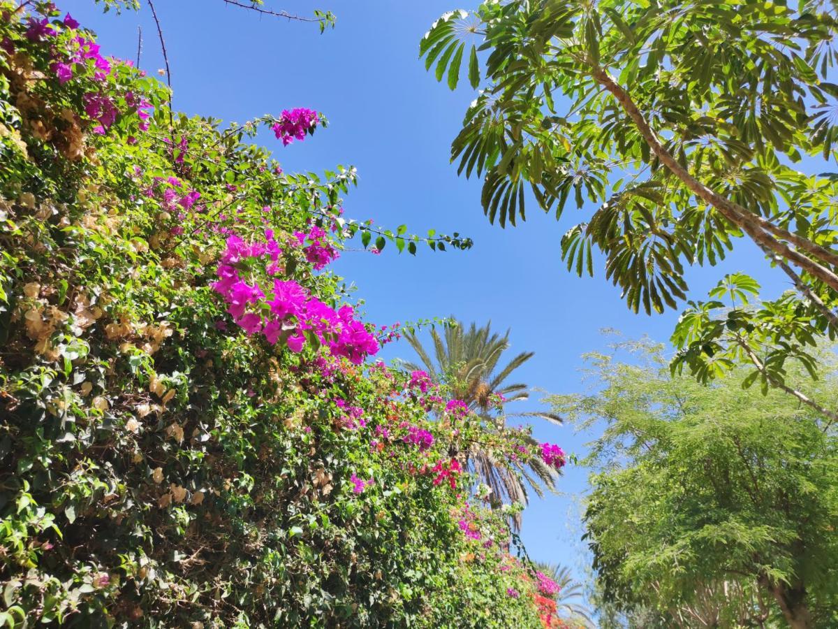Villa Zinnia Playa Blanca  Exteriör bild